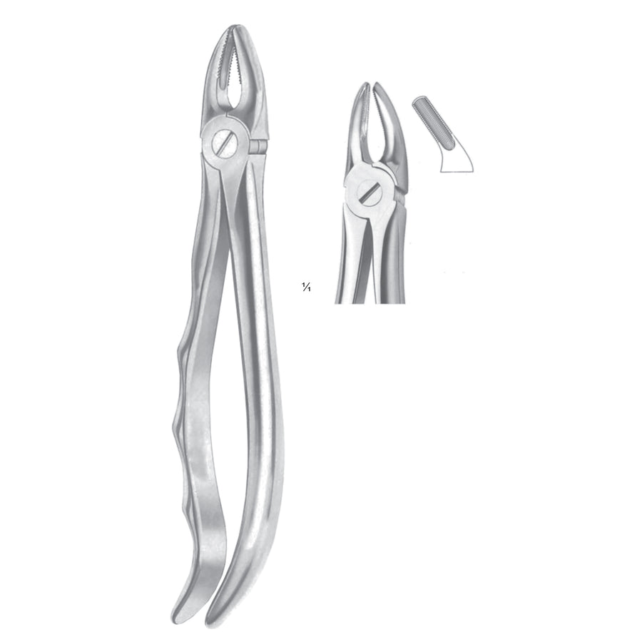 Extracting Forceps Biscuspids Fig 7 (M-044-07) by Dr. Frigz