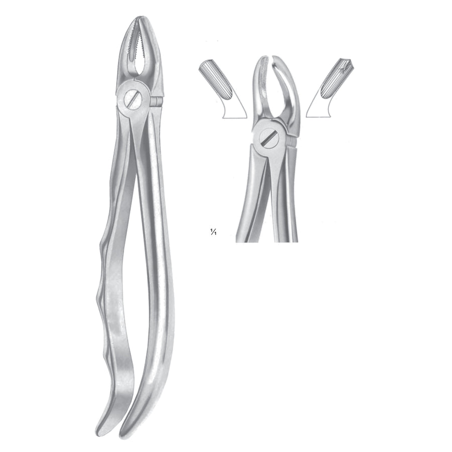 Extracting Forceps Molars, Left Fig 18 (M-046-18) by Dr. Frigz