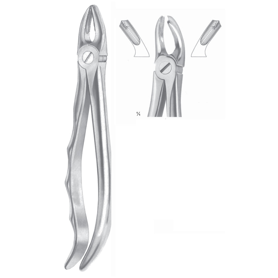 Extracting Forceps Molars Fig 18 A (M-047-18A) by Dr. Frigz