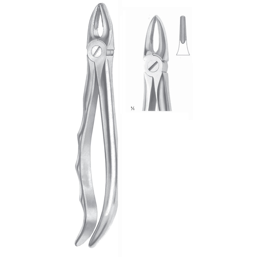 Extracting Forceps Roots And Incisors Fig 29 (M-048-29) by Dr. Frigz