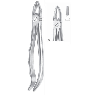 Extracting Forceps Roots And Incisors Fig 29 (M-048-29)
