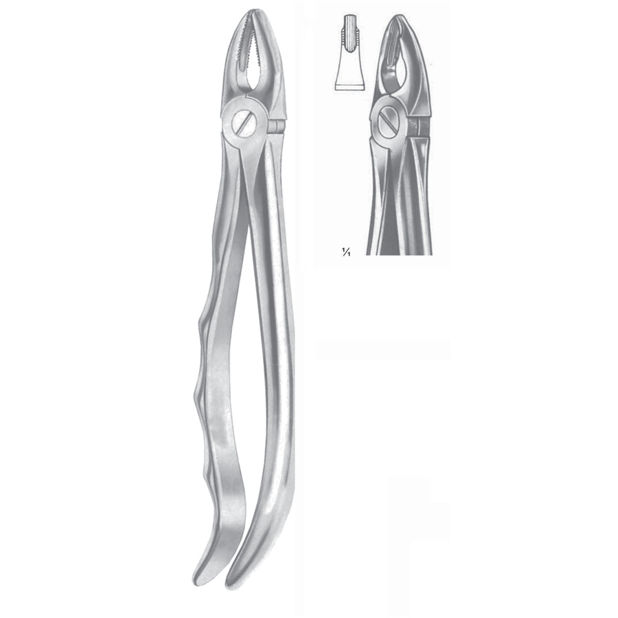 Extracting Forceps Upper Incisors & Premolars, Gripping In Depth Fig 34 (M-049-34) by Raymed