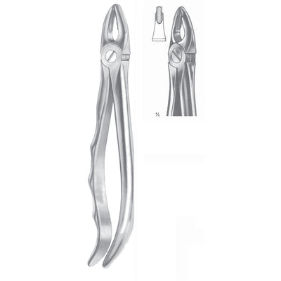 Extracting Forceps Upper Incisors & Premolars, Gripping In Depth Fig 34 (M-049-34)