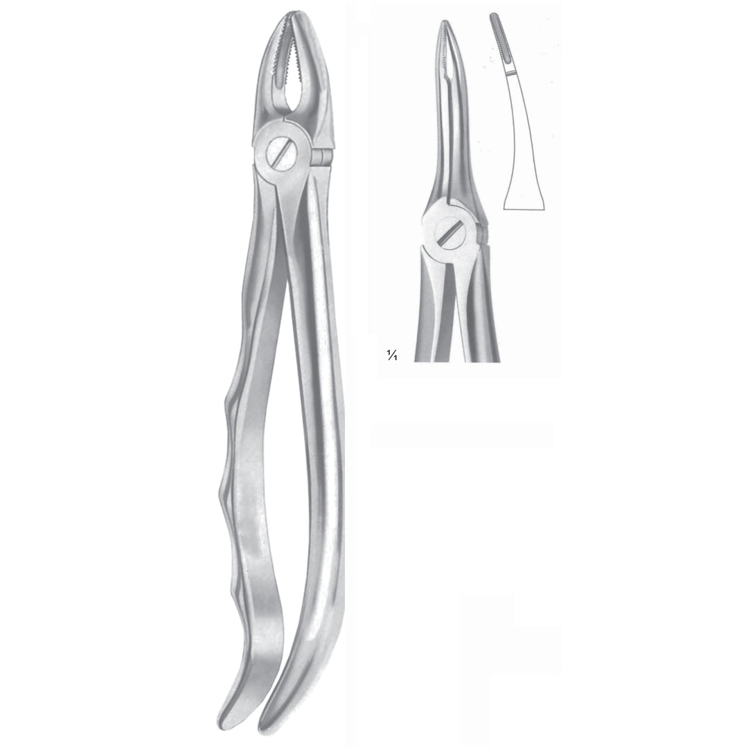 Extracting Forceps Roots, Very Fine Fig 49 (M-050-49) by Dr. Frigz
