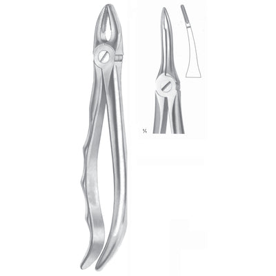 Extracting Forceps Roots, Very Fine Fig 49 (M-050-49)