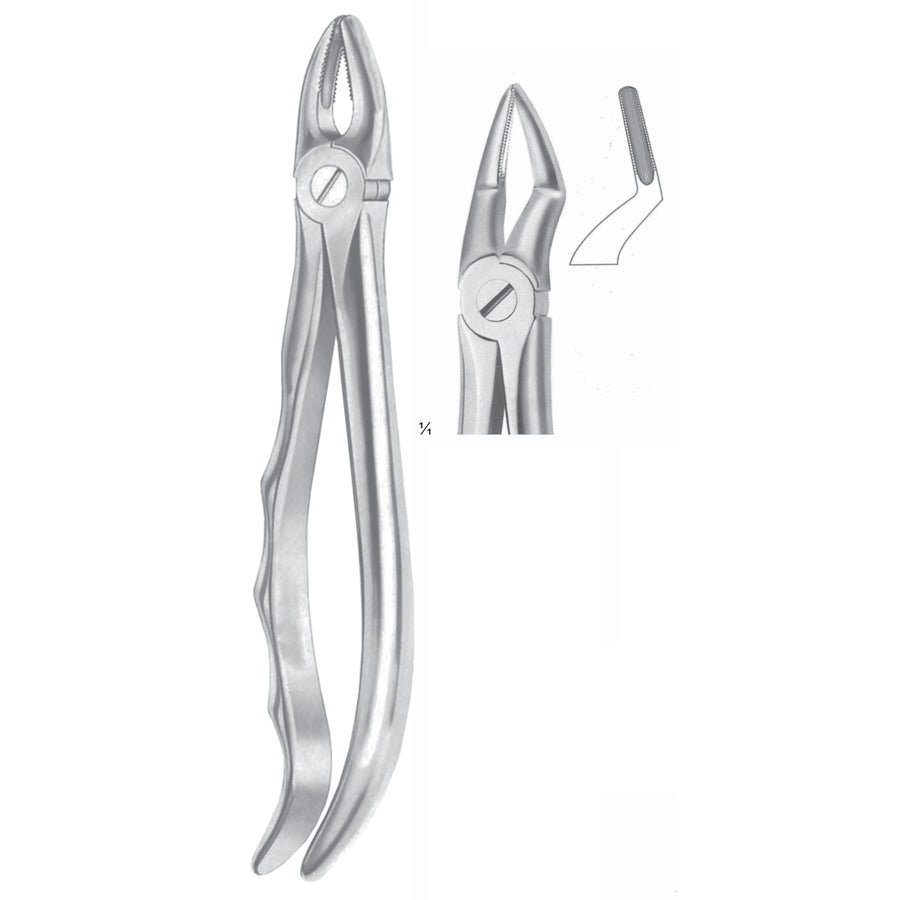 Extracting Forceps Roots Fig 51 (M-051-51) by Dr. Frigz