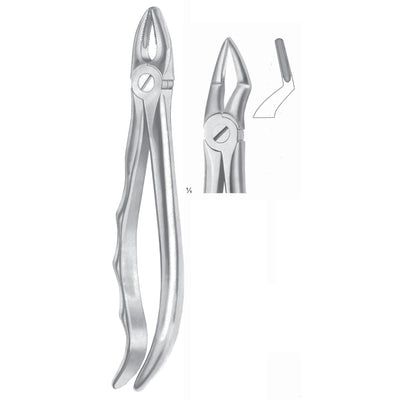 Extracting Forceps Roots Fig 51 (M-051-51)