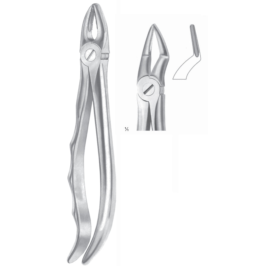 Extracting Forceps Roots Fig 51 A (M-052-51A) by Dr. Frigz