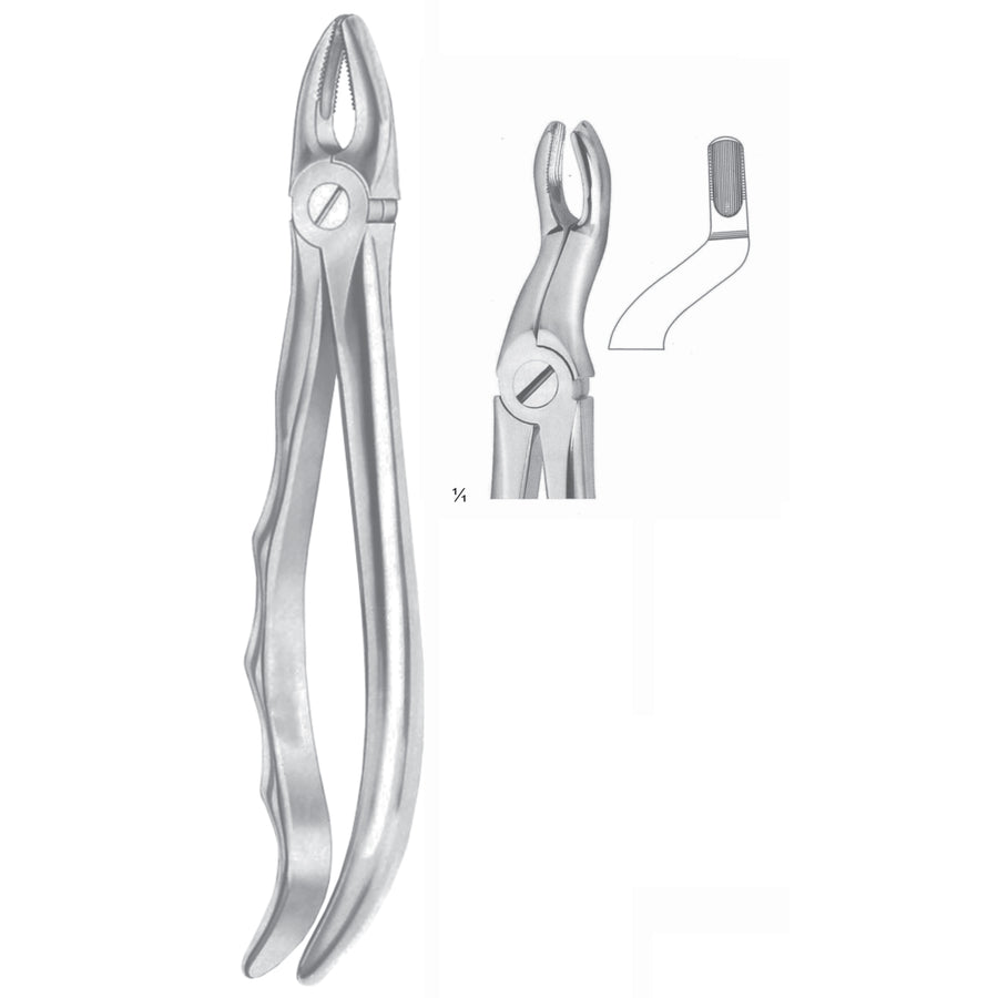Extracting Forceps Third Molars Fig 67 (M-053-67) by Dr. Frigz