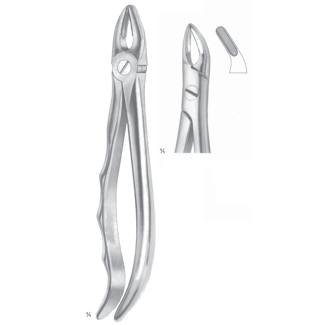 Lawrence-Read Extracting Forceps Roots Fig 76 (M-055-76) by Dr. Frigz