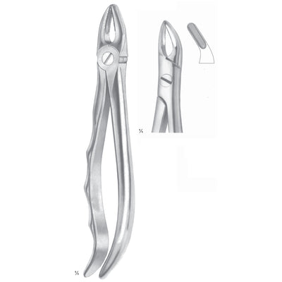 Lawrence-Read Extracting Forceps Roots Fig 76 (M-055-76)