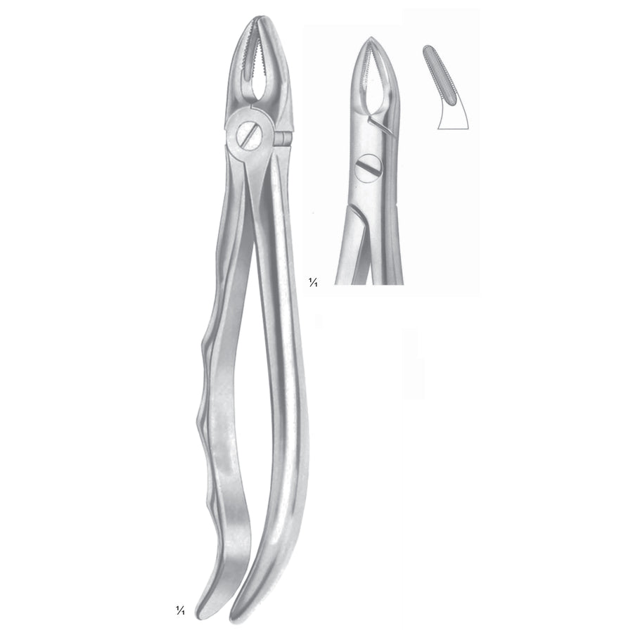 Lawrence-Read Extracting Forceps Roots Fig 76 N (M-056-76N) by Dr. Frigz