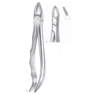 Lawrence-Read Extracting Forceps Roots Fig 76 N (M-056-76N)