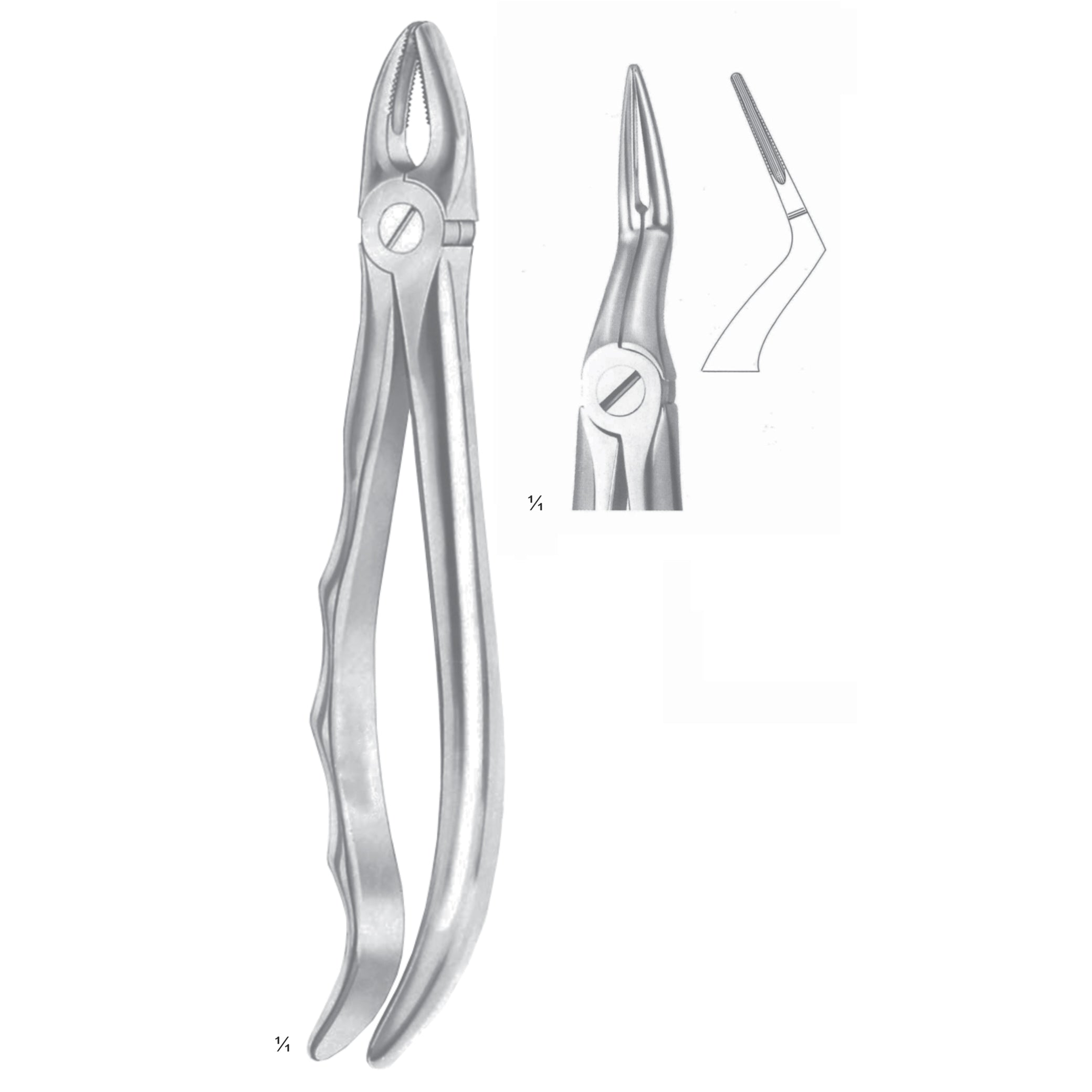 Extracting Forceps Roots Surgery Instrument – Dr Frigz
