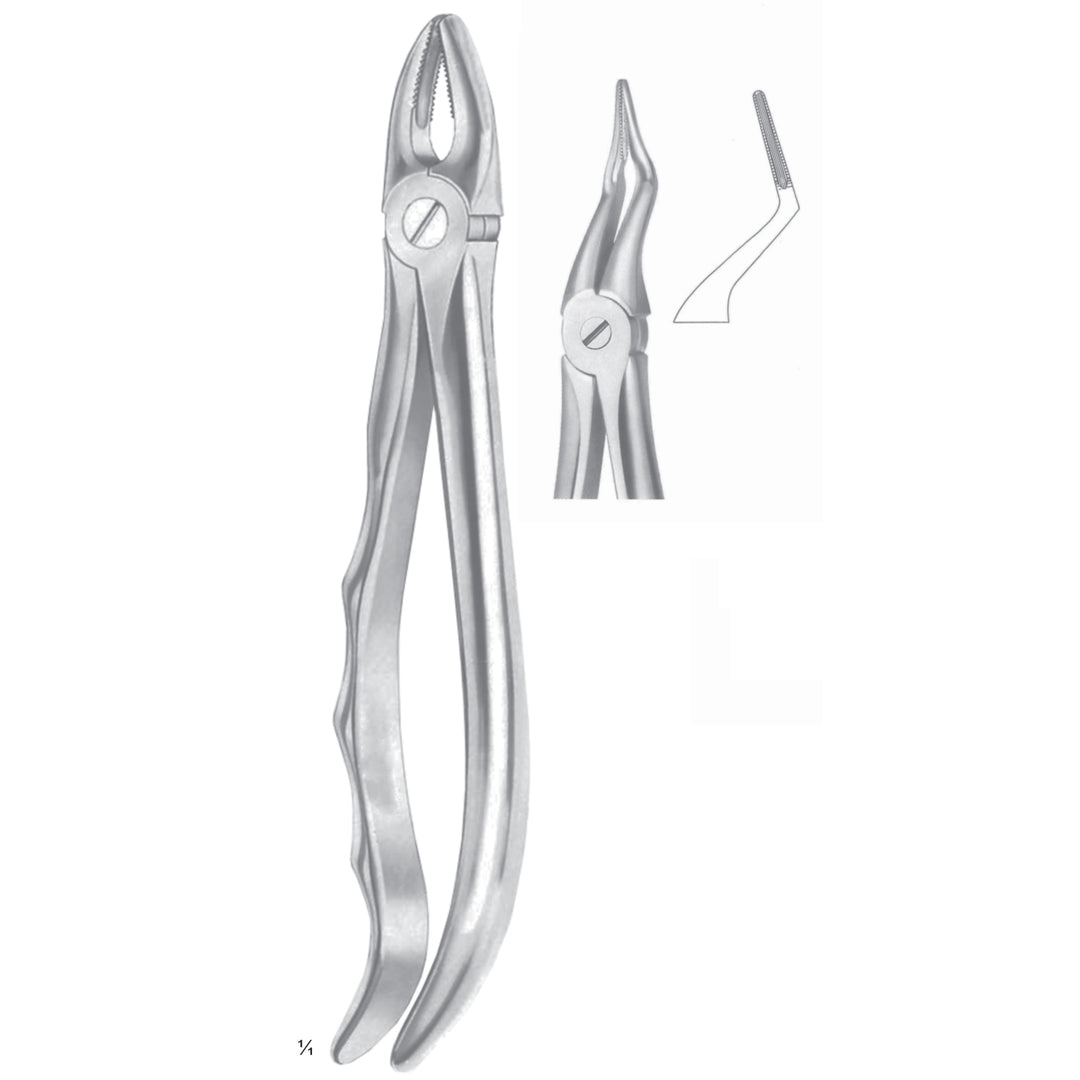 Extracting Forceps Roots, Very Fine Fig 151 (M-058-151) by Dr. Frigz