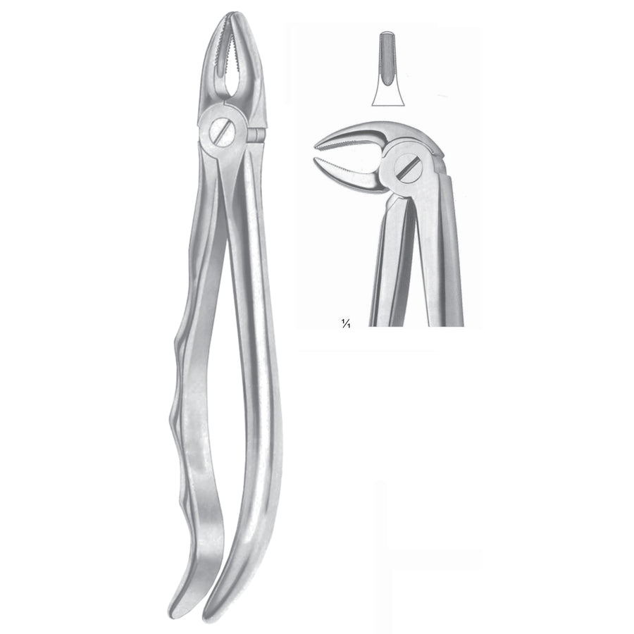 Extracting Forceps Premolar Fig 13 (M-060-13) by Dr. Frigz