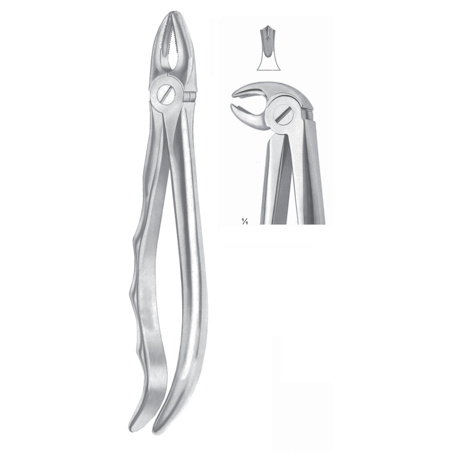 Extracting Forceps Molars Fig 22 (M-061-22) by Dr. Frigz