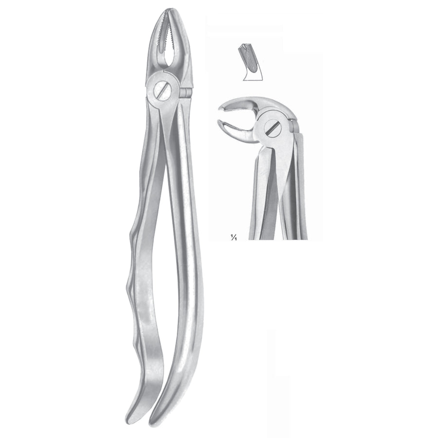 Extracting Forceps Molars, Left Fig 24 (M-063-24) by Dr. Frigz