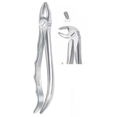 Extracting Forceps Molars, Left Fig 24 (M-063-24)