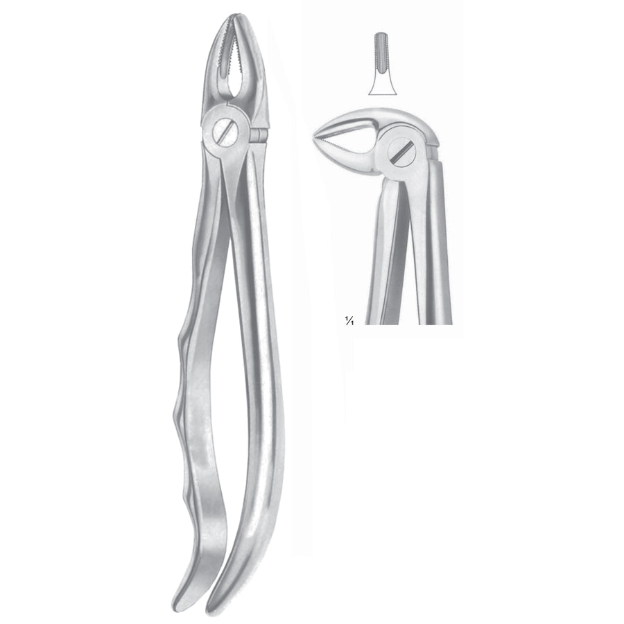 Extracting Forceps Roots Fig 33 (M-064-33) by Dr. Frigz