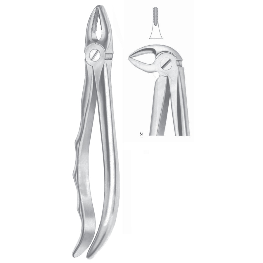 Extracting Forceps Roots, Slender Jaw Fig 33 A (M-065-33A) by Dr. Frigz
