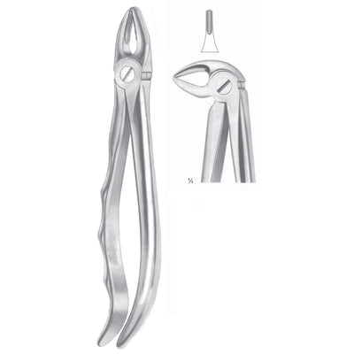 Extracting Forceps Roots, Slender Jaw Fig 33 A (M-065-33A)