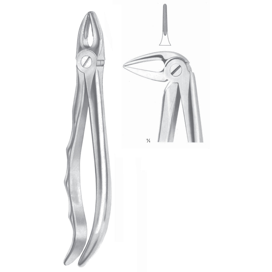 Extracting Forceps Roots, Slender Jaw Fig 33 M (M-066-33M) by Dr. Frigz