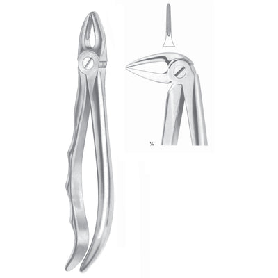 Extracting Forceps Roots, Slender Jaw Fig 33 M (M-066-33M)