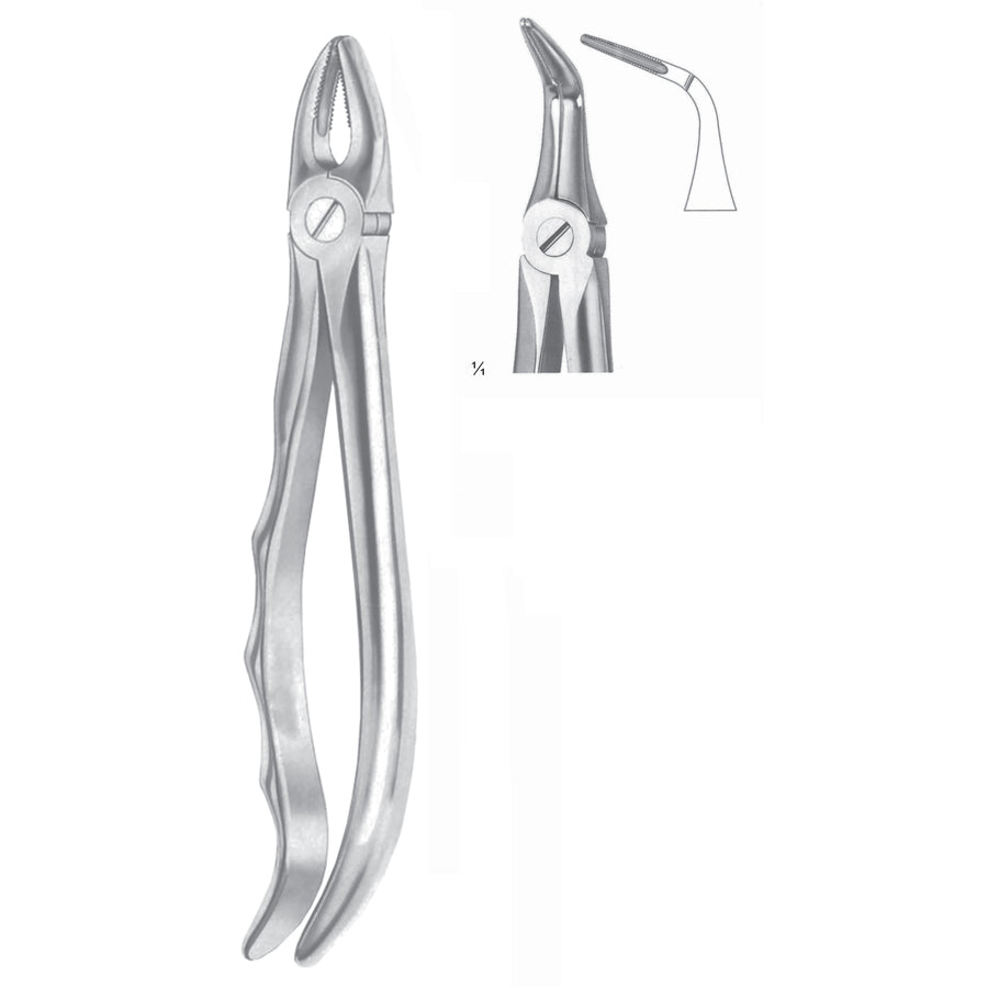 Extracting Forceps Roots, Very Fine Fig 46 L (M-067-46L) by Dr. Frigz