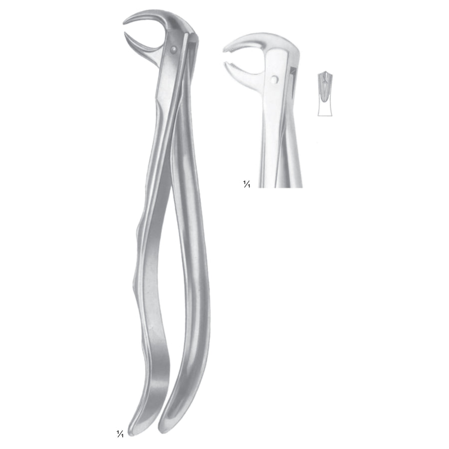 Extracting Forceps Molars Fig 73 (M-069-73) by Dr. Frigz