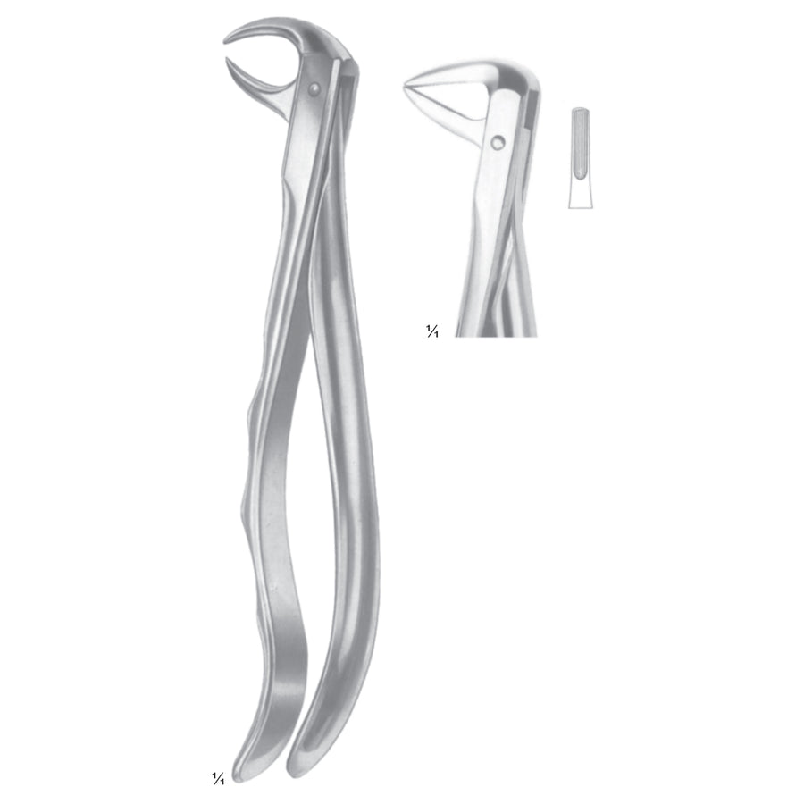 Extracting Forceps Incisors And Roots Fig 74 (M-070-74) by Dr. Frigz