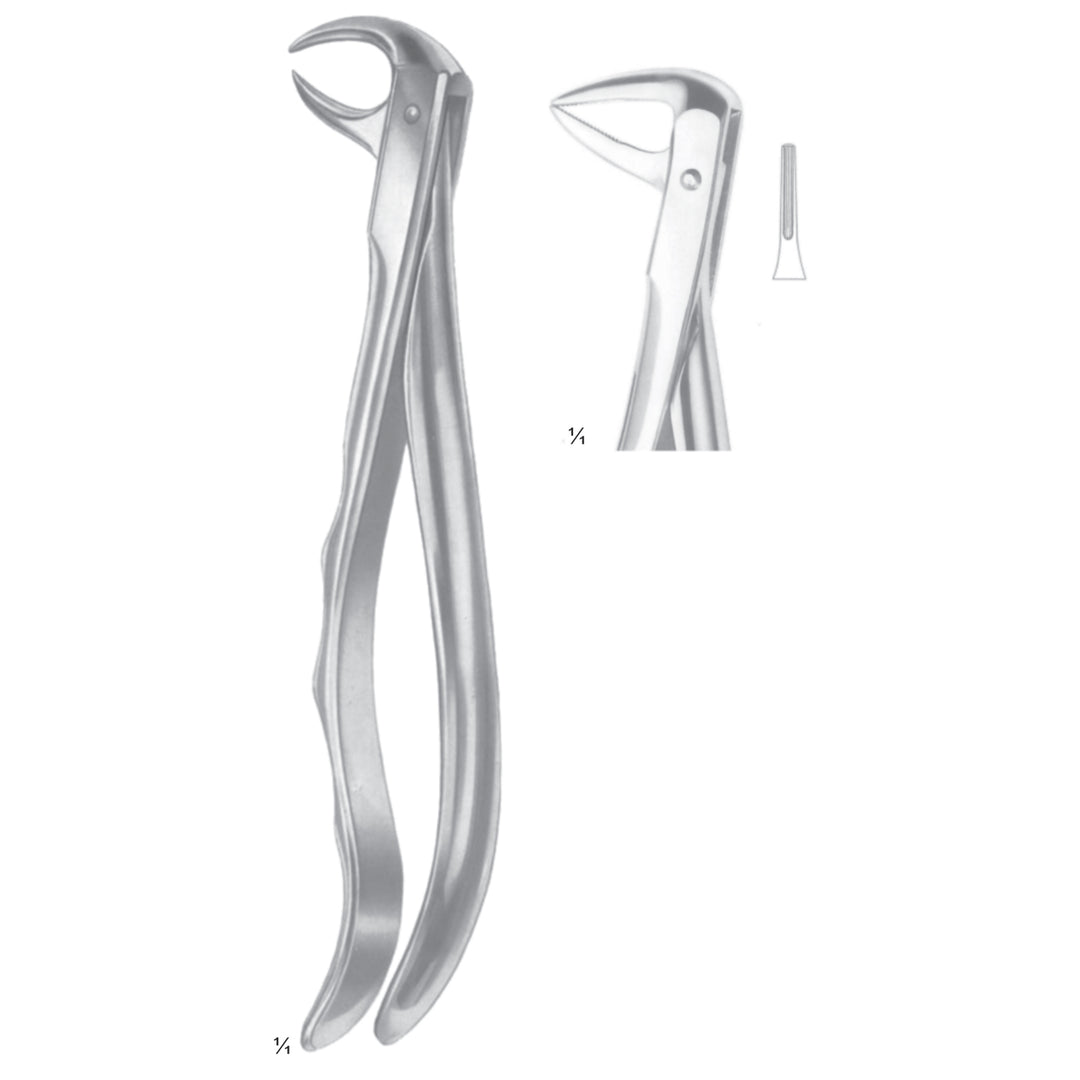 Extracting Forceps Incisors And Roots, Slender Jaw Fig 74 Xn (M-072-74Xn) by Dr. Frigz