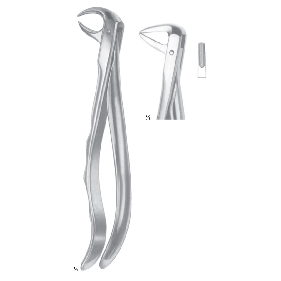 Extracting Forceps Cuspids And Biscuspids Fig 75 (M-073-75) by Dr. Frigz