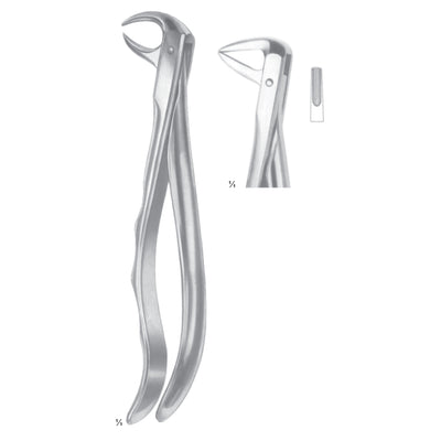 Extracting Forceps Cuspids And Biscuspids Fig 75 (M-073-75)