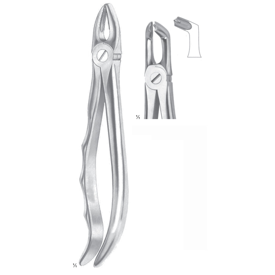 Extracting Forceps Third Molars Fig 79 (M-074-79) by Dr. Frigz