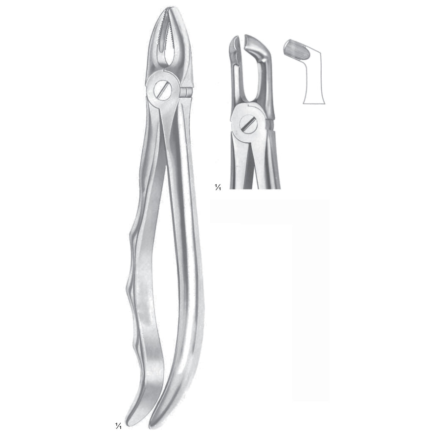 Extracting Forceps Third Molars Fig 79 A (M-075-79A) by Dr. Frigz