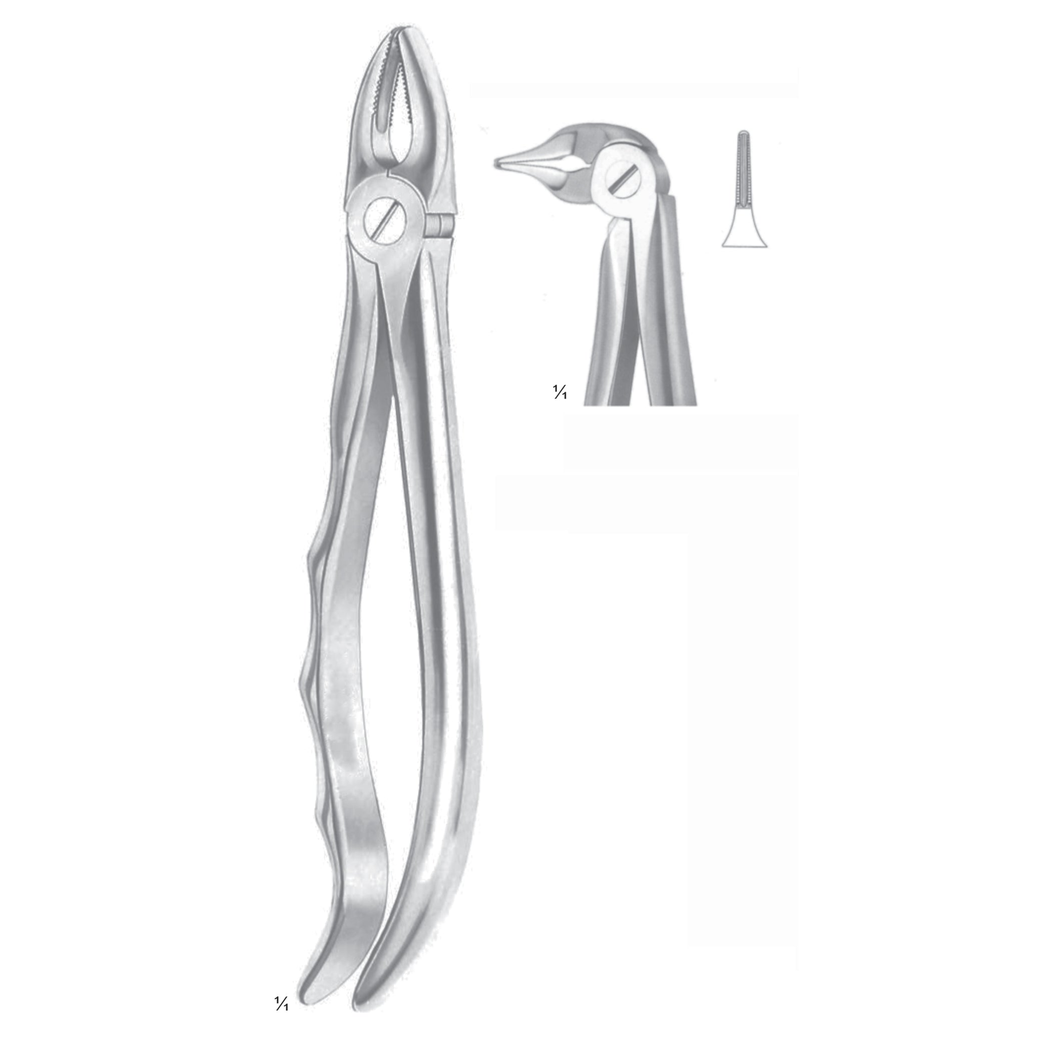 Extracting Forceps Roots Surgery Instrument – Dr Frigz