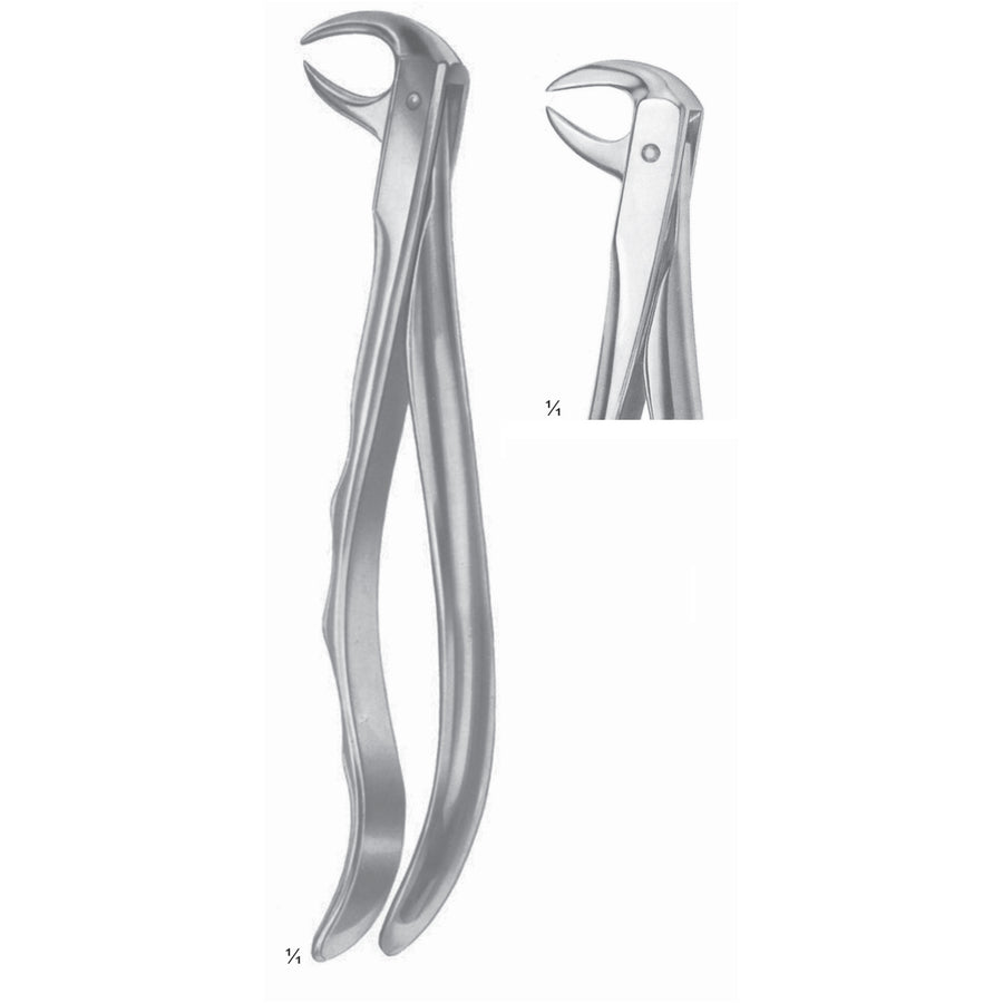 Extracting Forceps Molars With Carious Or Broken Caps Fig 86 A (M-077-86A) by Dr. Frigz