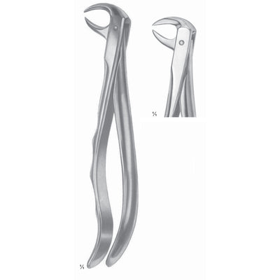 Extracting Forceps Molars With Carious Or Broken Caps Fig 86 A (M-077-86A)