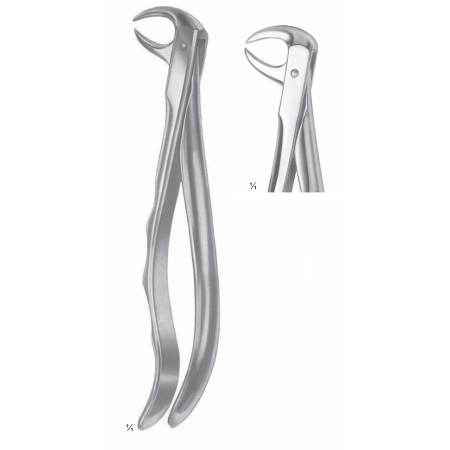 Extracting Forceps Molars With Carious Or Broken Caps Fig 86 B (M-078-86B) by Dr. Frigz