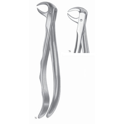Extracting Forceps Molars With Carious Or Broken Caps Fig 86 B (M-078-86B)