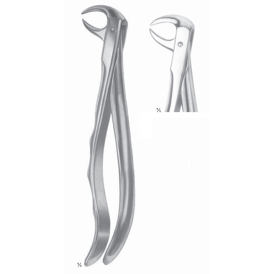 Extracting Forceps Molars With Carious Or Broken Caps Fig 86 C (M-079-86C) by Dr. Frigz