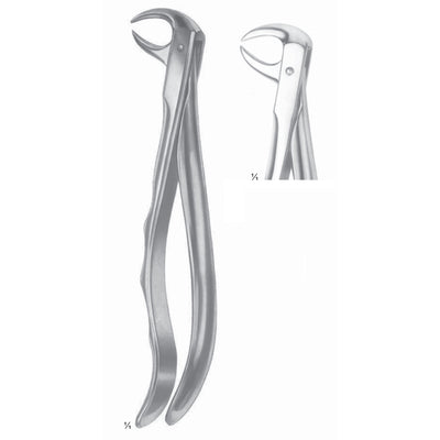 Extracting Forceps Molars With Carious Or Broken Caps Fig 86 C (M-079-86C)