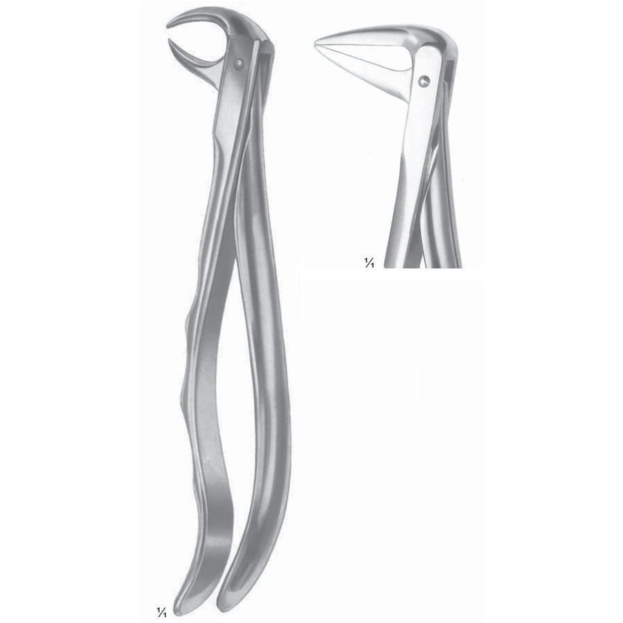 Extracting Forceps Roots, With Parallel Beak Fig 233 (M-080-233) by Dr. Frigz