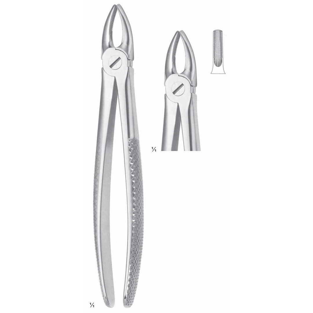 Extracting Forceps Incisors And Cuspids Fig 1 (M-081-01) by Dr. Frigz
