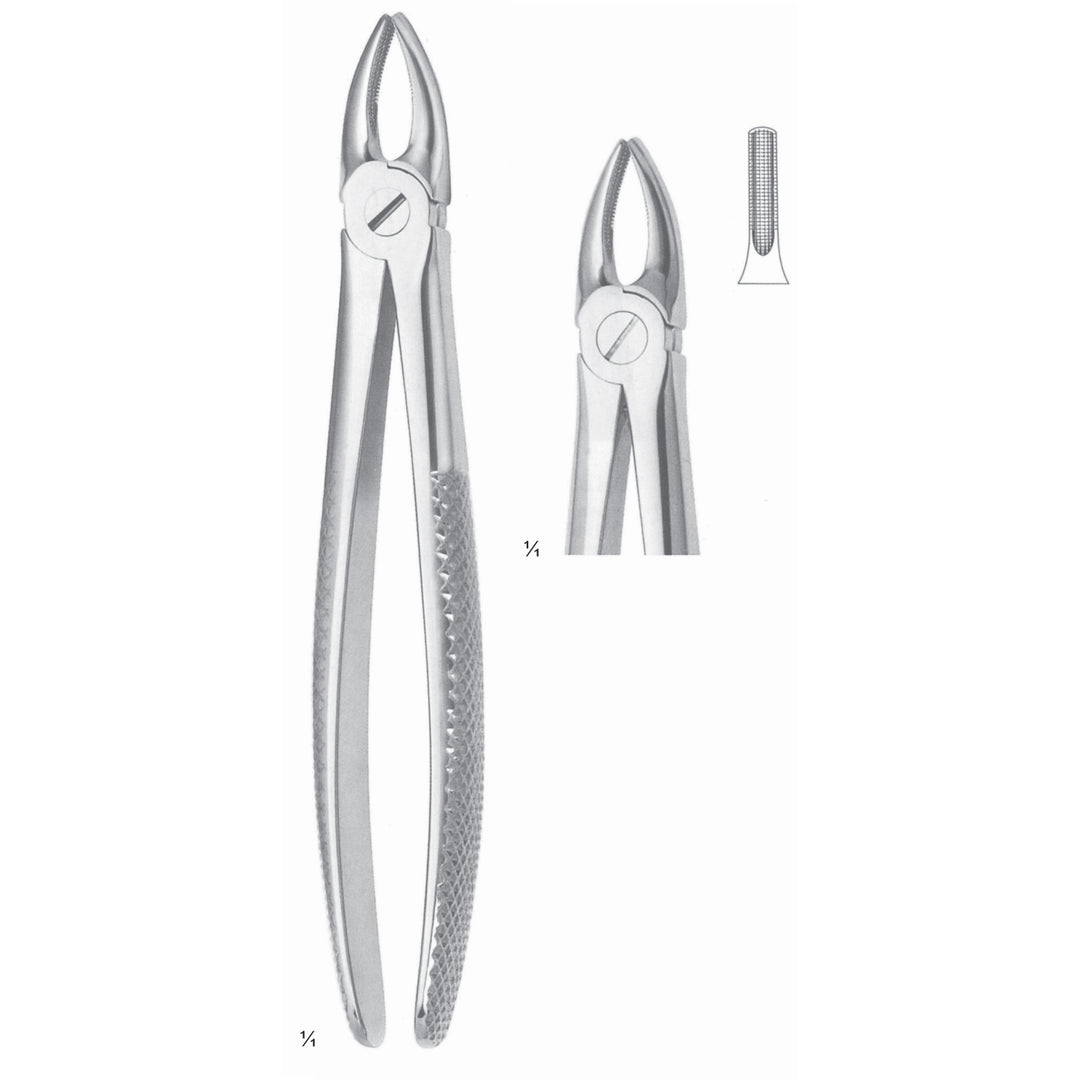 Extracting Forceps Incisors And Cuspids Fig 2 (M-082-02) by Dr. Frigz