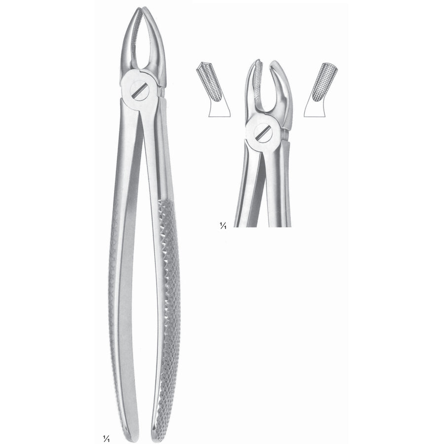 Extracting Forceps Molars, Right Fig 17 (M-084-17) by Dr. Frigz