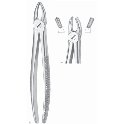 Extracting Forceps Molars, Right Fig 17 (M-084-17)