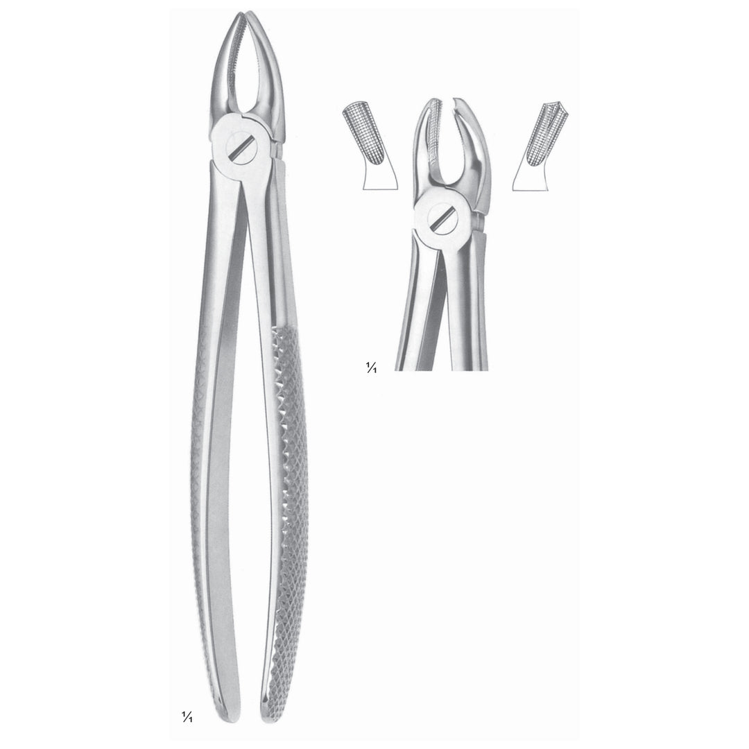 Extracting Forceps Molars, Left Fig 18 (M-085-18) by Dr. Frigz