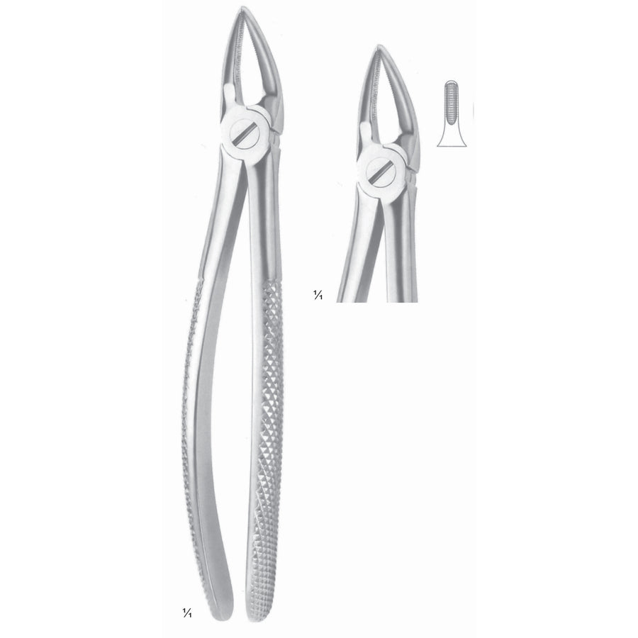 Extracting Forceps Incisors And Roots Fig 30 (M-086-30) by Dr. Frigz